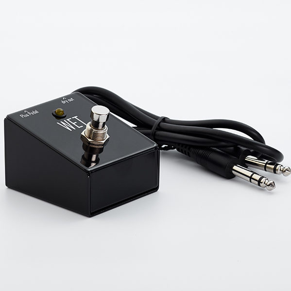 Footswitch for Plus Pedal ⋆ Gamechanger Audio